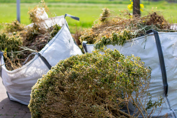 Best Yard Waste Removal  in Lake Lakengren, OH